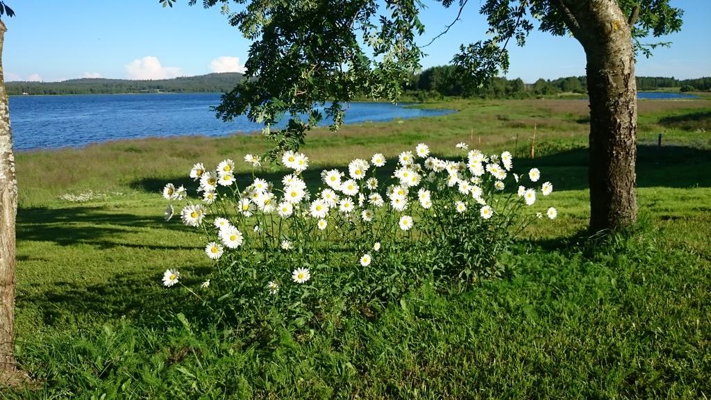 Nivagarden Vila Korpikylä Exterior foto